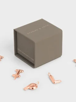 Alphabet 'L' Charm