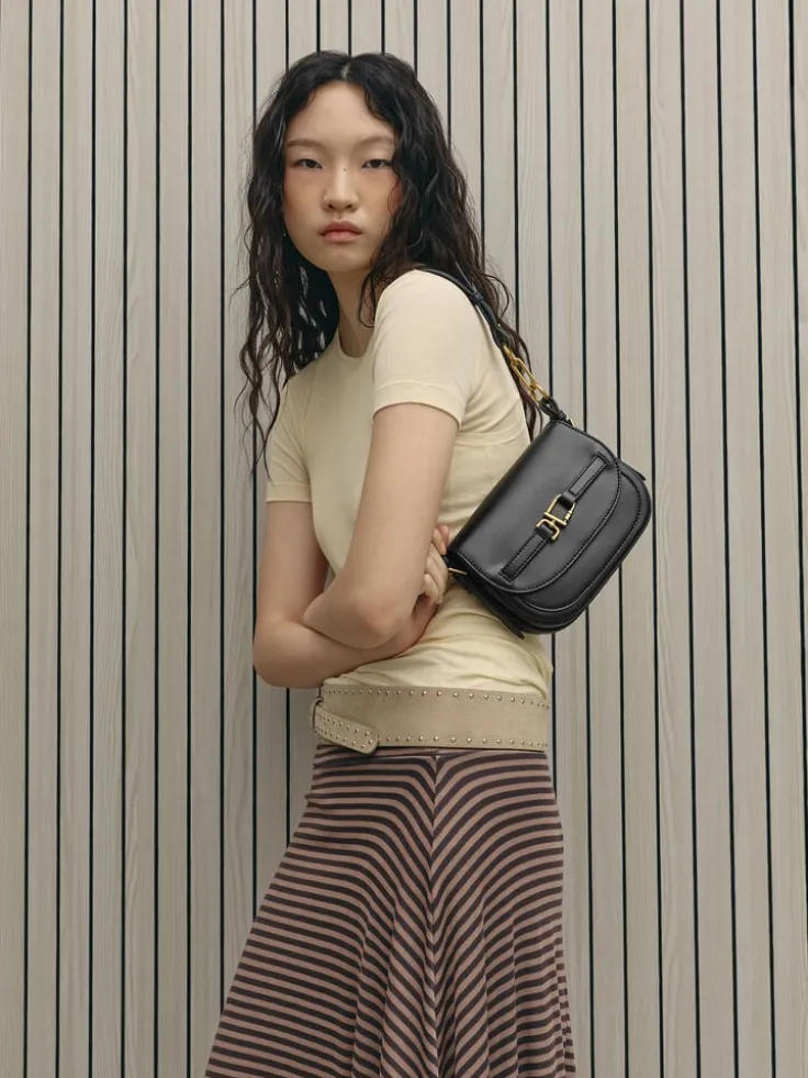 Gwynne Metallic-Accent Saddle Bag